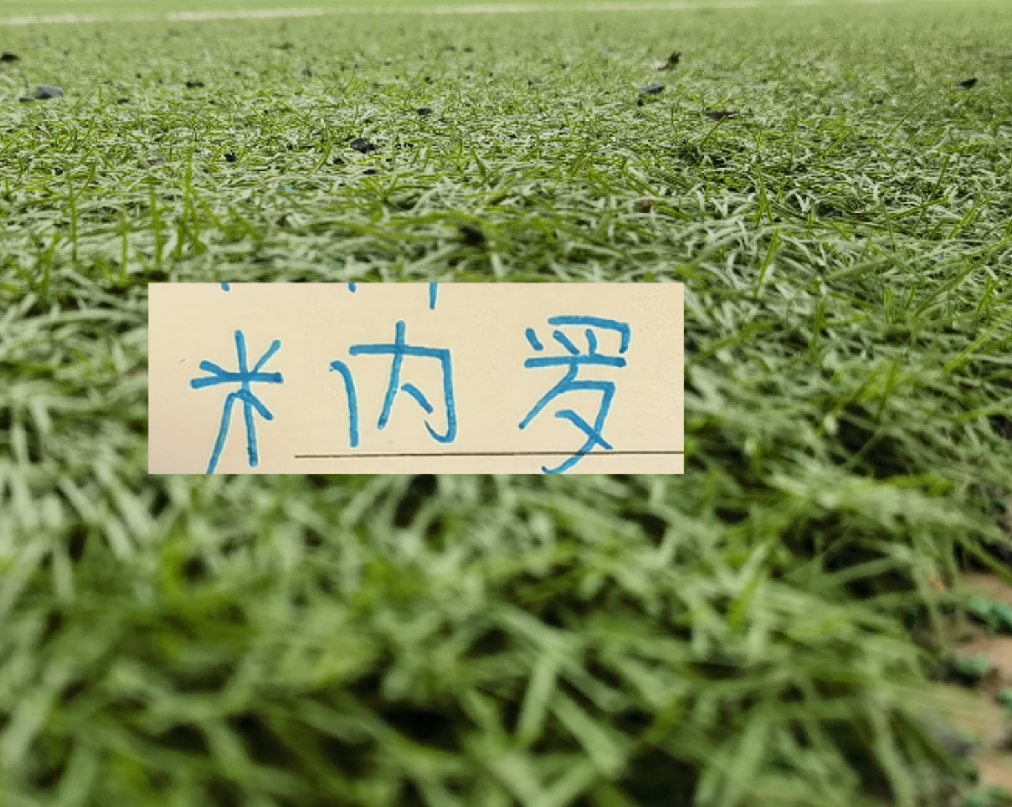 kaiyun-11号米内罗又更新训练照片 去年他可是14场联赛斩获8个球申花米神